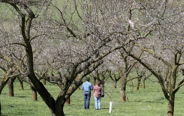 Πιο αισιόδοξοι από ποτέ οι Αυστριακοί
