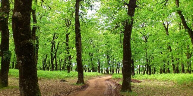 Δημιουργούνται 35 θεματικές διαδρομές πεζοπορίας στη Δυτική Ελλάδα