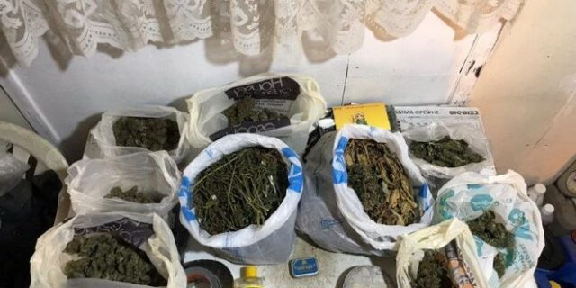 Καλλιεργούσε ολόκληρη χασισοφυτεία μέσα στο σπίτι του