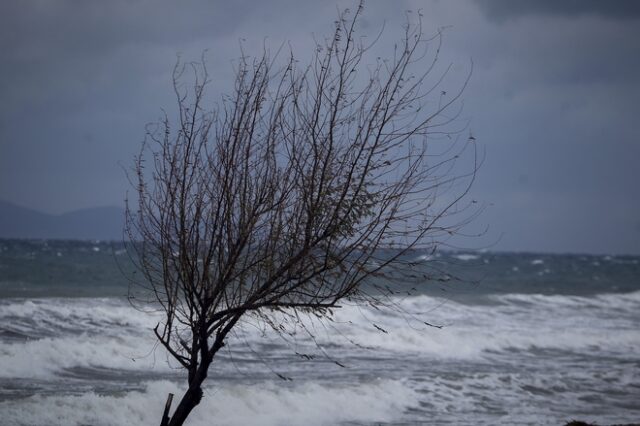 Ενίσχυση των βοριάδων και τοπικές βροχές την Τετάρτη