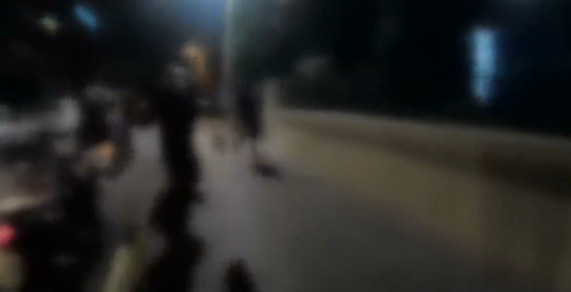 Το βίντεο της επίθεσης του Ρουβίκωνα στο δημαρχείο Αλίμου – Τρεις προσαγωγές