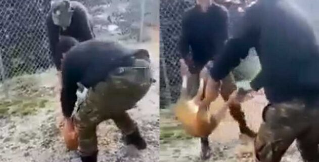 Καταδικάστηκαν οι τρεις φαντάροι για την κακοποίηση σκύλου
