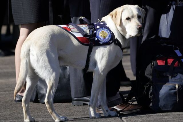 Ο σκύλος του Τζορτζ Μπους τον συνοδεύει στο τελευταίο του ταξίδι