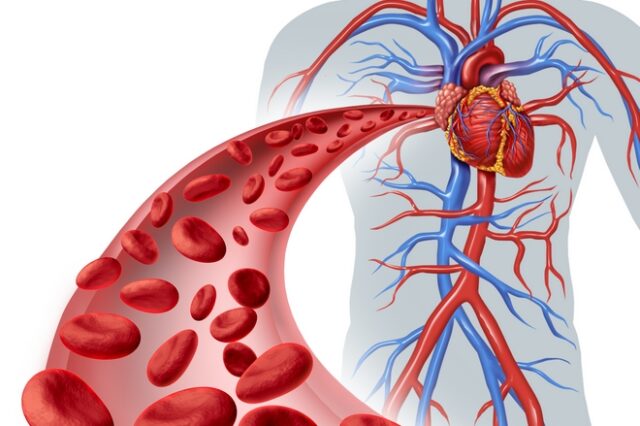 Δημιουργήθηκαν για πρώτη φορά τέλεια ανθρώπινα αιμοφόρα αγγεία