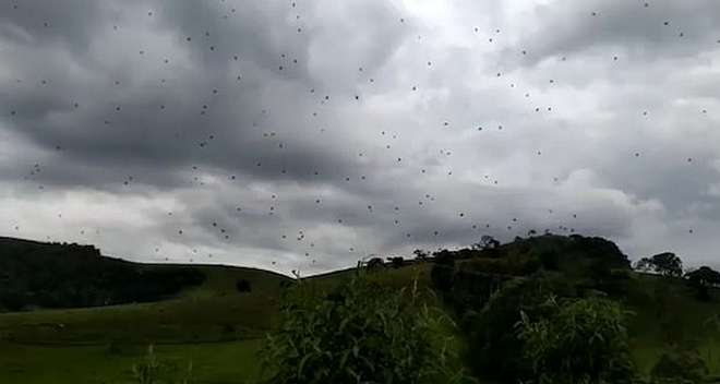 Τρομακτικό: Εκατοντάδες αράχνες “πέφτουν” από τον ουρανό