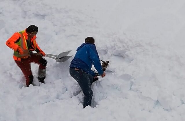 Ηρωϊκή προσπάθεια εργατών να απεγκλωβίσουν κατσίκα από το χιόνι