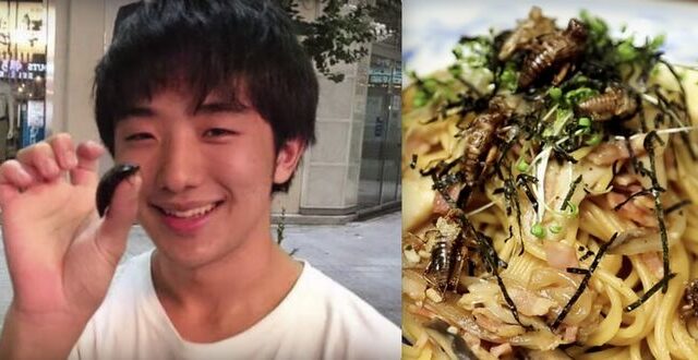 Απίστευτο: 25χρονος Ιάπωνας είχε σχέση με κατσαρίδα και όταν πέθανε την έφαγε