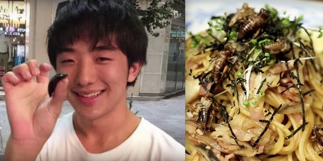 Απίστευτο: 25χρονος Ιάπωνας είχε σχέση με κατσαρίδα και όταν πέθανε την έφαγε
