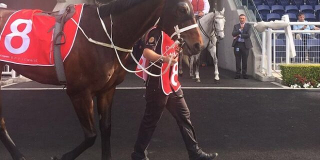 Αυστραλία: Εφημερίδα ανακήρυξε ένα άλογο “Αυστραλό της χρονιάς”