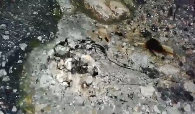 Βίντεο από την Ζάκυνθο: Η άσφαλτος αναβλύζει πετρέλαιο λίγο πριν τον σεισμό