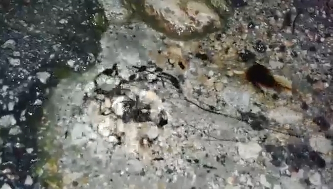 Βίντεο από την Ζάκυνθο: Η άσφαλτος αναβλύζει πετρέλαιο λίγο πριν τον σεισμό