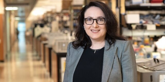 Διεθνής διάκριση για Ελληνίδα ερευνήτρια και την έρευνά της για τη σκλήρυνση κατά πλάκας