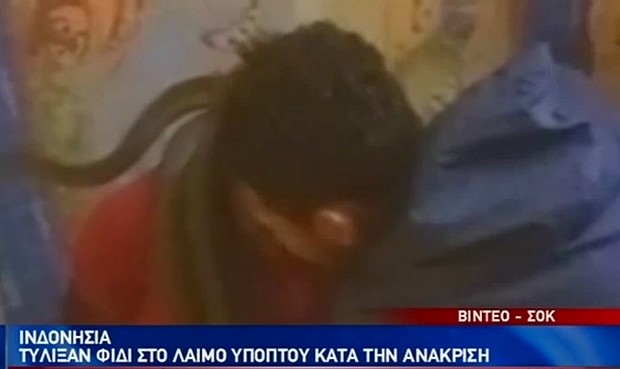 Φρίκη: Ανακρίνουν ύποπτο τυλίγοντας φίδι στο κεφάλι του