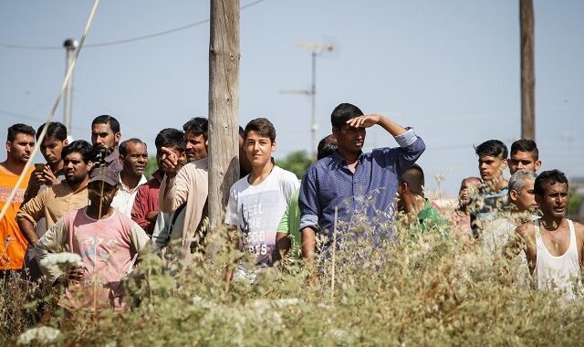 Μανωλάδα: Αδήλωτοι 355 εργάτες στα φραουλοχώραφα