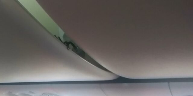 Τρόμος σε πτήση: Σκορπιός έκανε βόλτες πάνω απ’ τα κεφάλια των επιβατών