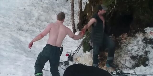 Κτηνωδία στην Αλάσκα: Πατέρας και γιος σκότωσαν αρκούδα και αρκουδάκια σε χειμερία νάρκη