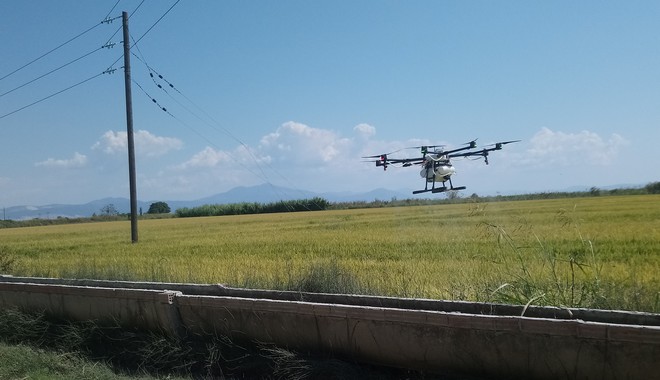 Πολεμώντας τα κουνούπια με Τεχνητή Νοημοσύνη και drones