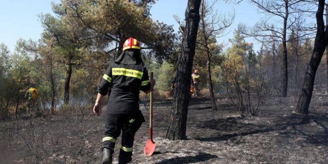Θεσσαλονίκη: Βάζουν ραντάρ για τις φωτιές στο Σέιχ Σου