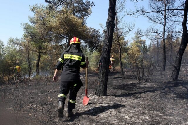 Θεσσαλονίκη: Βάζουν ραντάρ για τις φωτιές στο Σέιχ Σου