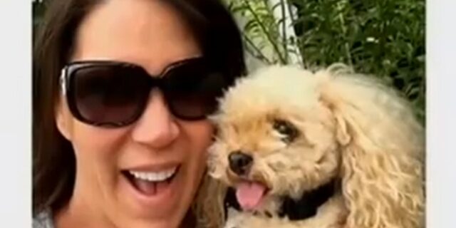 Κλωνοποίησε το σκυλάκι της έναντι 100.000 δολαρίων