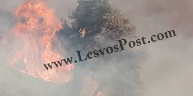 Λέσβος: Μεγάλη φωτιά στο Μεγαλοχώρι Πλωμαρίου