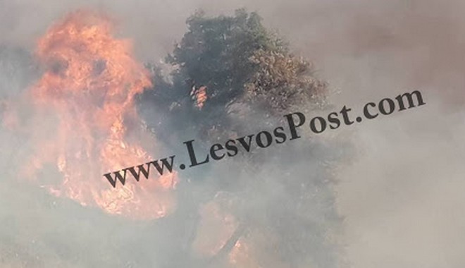 Λέσβος: Μεγάλη φωτιά στο Μεγαλοχώρι Πλωμαρίου