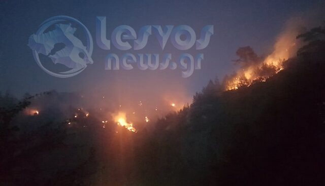 Μαίνεται η φωτιά στο Νεοχώρι Πλωμαρίου – Ολονύχτια μάχη με τις φλόγες