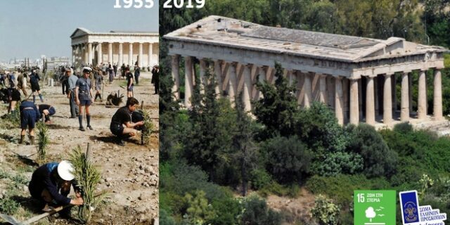 Πρόσκοποι Ελλάδας: Δίνουν το παράδειγμα φυτεύοντας 50.000 δέντρα σε ένα χρόνο