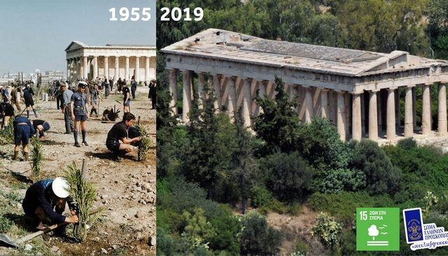 Πρόσκοποι Ελλάδας: Δίνουν το παράδειγμα φυτεύοντας 50.000 δέντρα σε ένα χρόνο