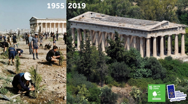 Πρόσκοποι Ελλάδας: Δίνουν το παράδειγμα φυτεύοντας 50.000 δέντρα σε ένα χρόνο