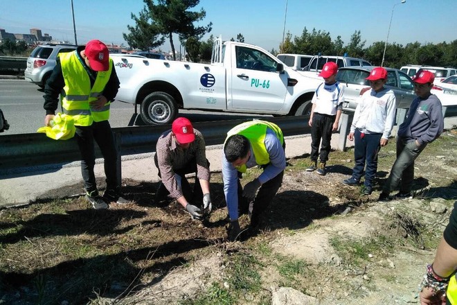 Πικροδάφνες, ακακίες και δενδρολίβανο “προστατεύουν” από τις φωτιές