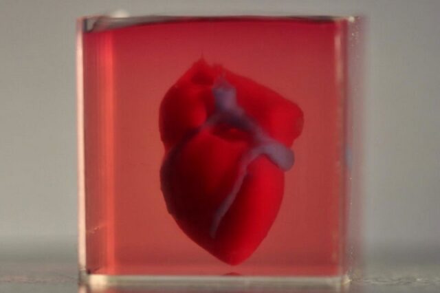 Ερευνητές κατασκεύασαν την πρώτη 3D printed καρδιά από κύτταρα και ιστό ασθενούς