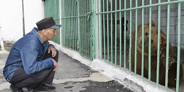 Αρκούδα εκτίει ισόβια σε φυλακή με επικίνδυνους κακοποιούς