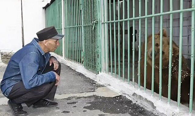 Αρκούδα εκτίει ισόβια σε φυλακή με επικίνδυνους κακοποιούς