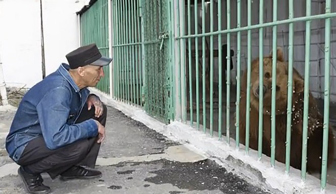 Αρκούδα εκτίει ισόβια σε φυλακή με επικίνδυνους κακοποιούς
