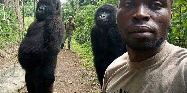 Αυτή είναι η πιο απίστευτη selfie που έχει τραβηχτεί ποτέ