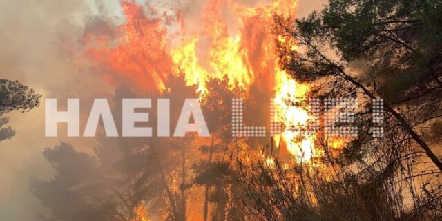 Στροφυλιά: Εφιαλτική νύχτα στο σπάνιο οικοσύστημα που καίγεται