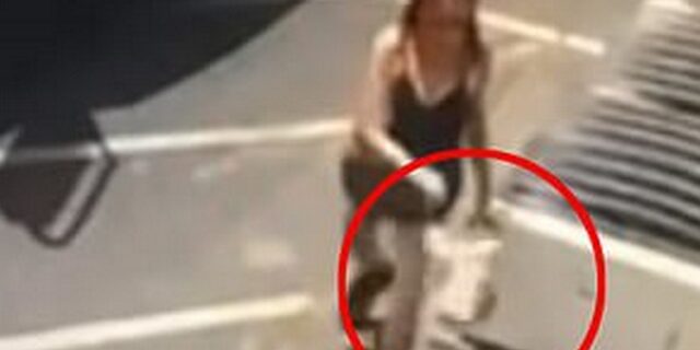 Κτηνώδες: Γυναίκα πετάει στα σκουπίδια μέσα σε σακούλα νεογέννητα κουτάβια