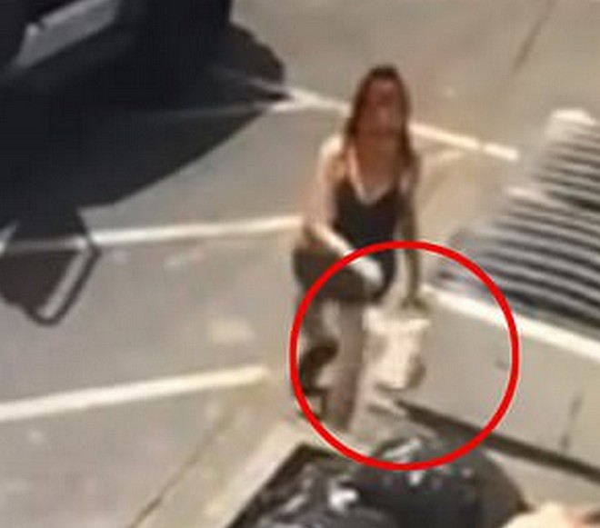 Κτηνώδες: Γυναίκα πετάει στα σκουπίδια μέσα σε σακούλα νεογέννητα κουτάβια