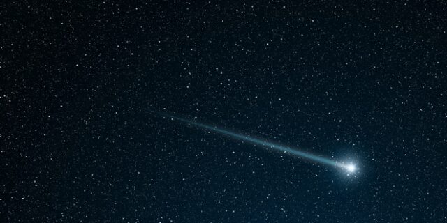 Λυρίδες, τα πρώτα πεφταστέρια της άνοιξης κορυφώνονται το βράδυ της Μ. Δευτέρας