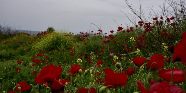 Αστάθεια στα ηπειρωτικά την Πρωτομαγιά κυρίως στα δυτικά και βόρεια