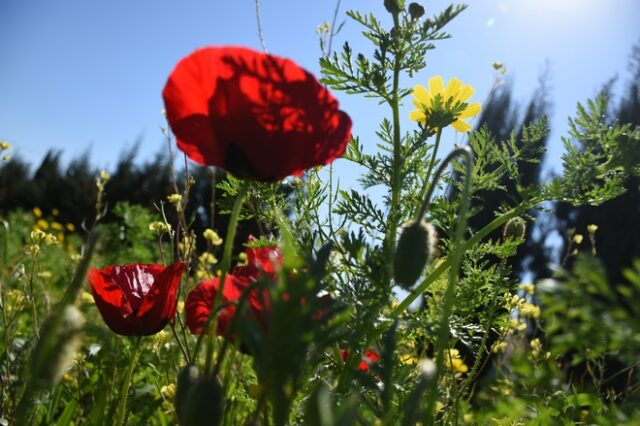 Πάσχα 2019: Βελτιωμένος ο καιρός – Λιακάδα και 25 βαθμούς