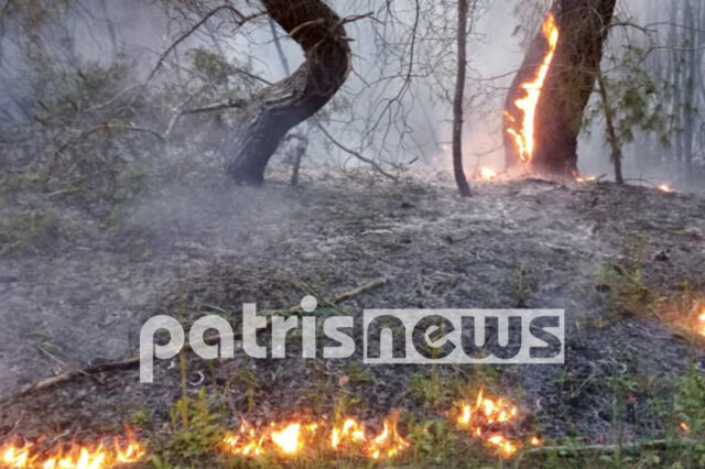 Σε ύφεση η φωτιά στη Στροφυλιά: Κάηκε σπάνιο οικοσύστημα
