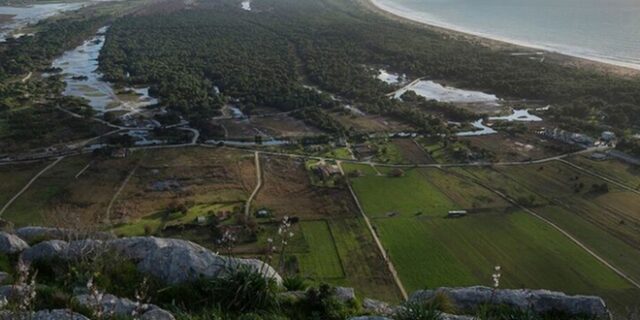 Δάσος της Στροφυλιάς: Το σπάνιο οικοσύστημα που φτάνει ως την παραλία