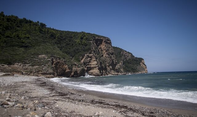 Πήλιο: Νεκρό δελφίνι ξεβράστηκε στην ακτή