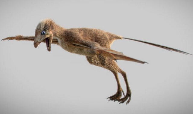Εντυπωσιακό: Ανακαλύφθηκε ασυνήθιστος μικροσκοπικός δεινόσαυρος με φτερά νυχτερίδας