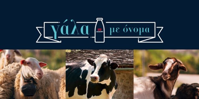 Η ΔΩΔΩΝΗ γιορτάζει την Παγκόσμια Ημέρα Γάλακτος για 4η συνεχόμενη χρονιά