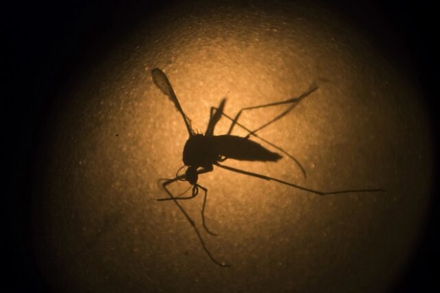 Τα κουνούπια θα μας τσιμπούν ό,τι και αν κάνουμε