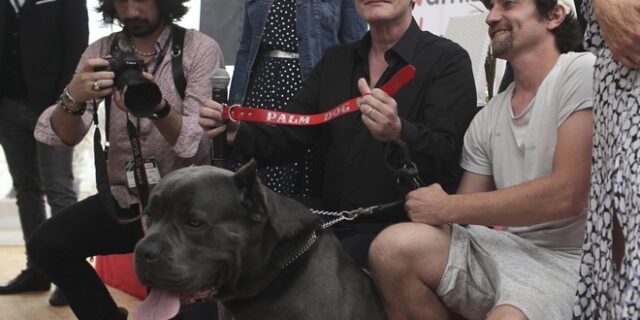 Κάννες 2019: Βράβευσαν με το “Palm Dog” τη σκυλίτσα του Ταραντίνο