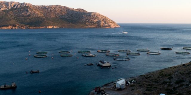 Η ΑΒ Βασιλόπουλος καινοτομεί με περιβαλλοντικό πρόσημο